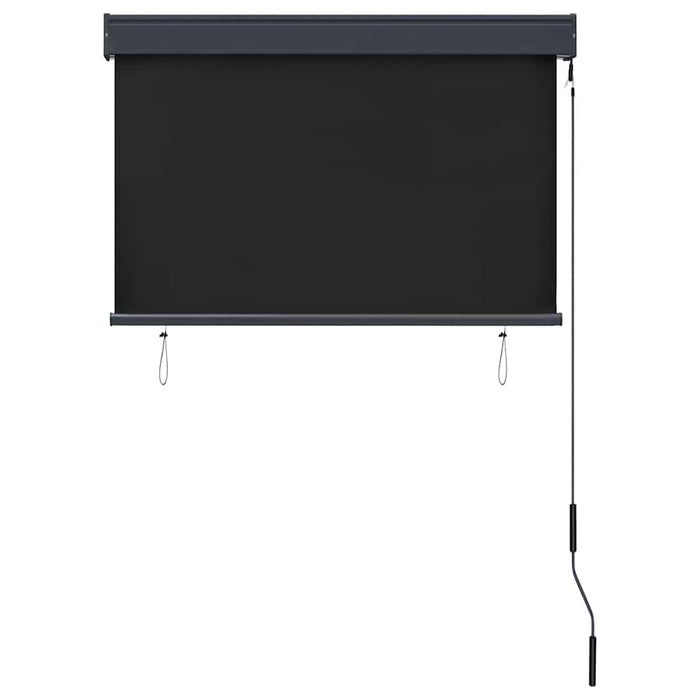 Jaluzea tip rulou de exterior, antracit, 100 x 250 cm - WALTI WALTI