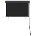 Jaluzea tip rulou de exterior, antracit, 100 x 250 cm - WALTI WALTI