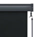 Jaluzea tip rulou de exterior, antracit, 100 x 250 cm - WALTI WALTI