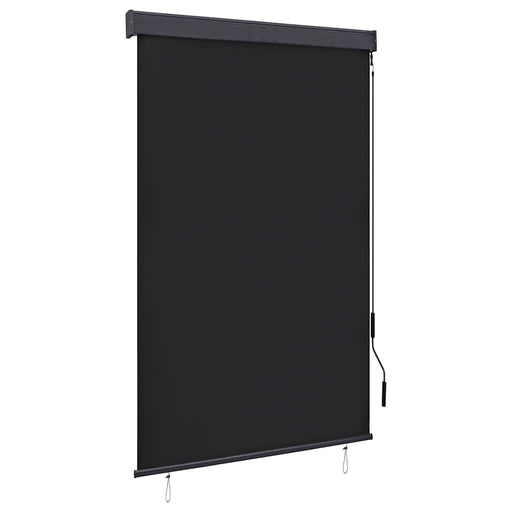 Jaluzea tip rulou de exterior, antracit, 120 x 250 cm - WALTI WALTI