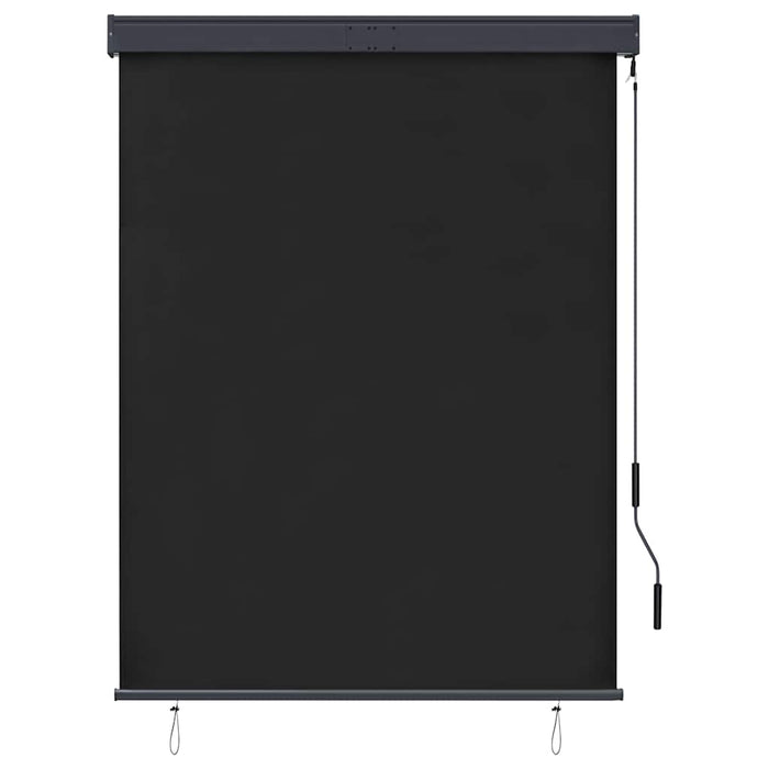 Jaluzea tip rulou de exterior, antracit, 120 x 250 cm - WALTI WALTI