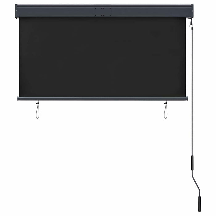 Jaluzea tip rulou de exterior, antracit, 120 x 250 cm - WALTI WALTI