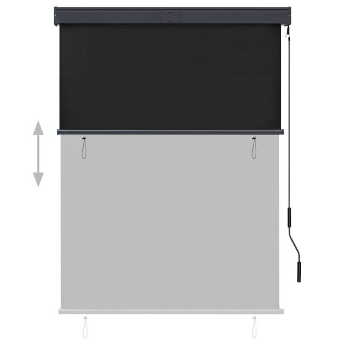 Jaluzea tip rulou de exterior, antracit, 120 x 250 cm - WALTI WALTI