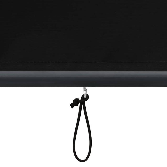 Jaluzea tip rulou de exterior, antracit, 120 x 250 cm - WALTI WALTI