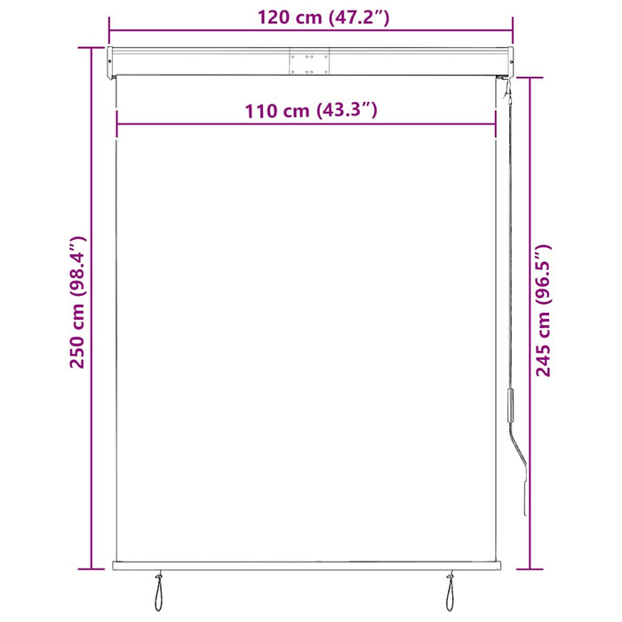 Jaluzea tip rulou de exterior, antracit, 120 x 250 cm - WALTI WALTI