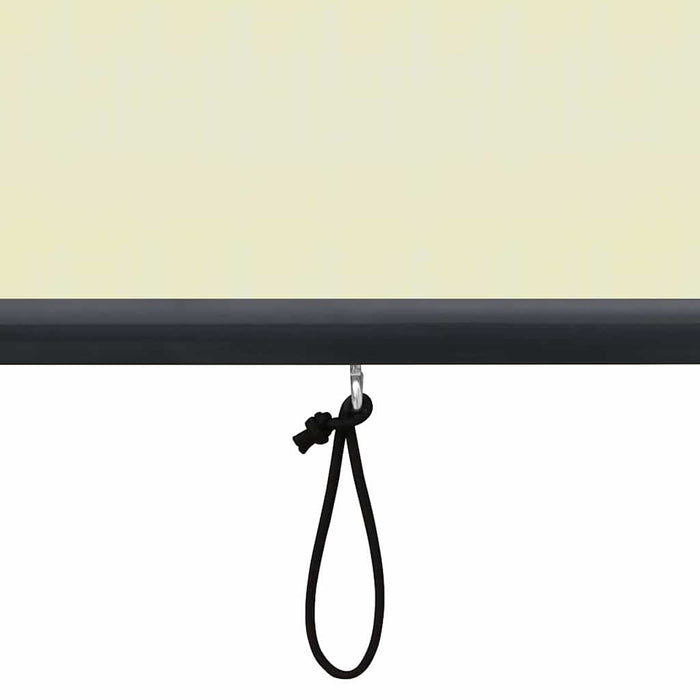 Jaluzea tip rulou de exterior, crem, 120 x 250 cm - WALTI WALTI