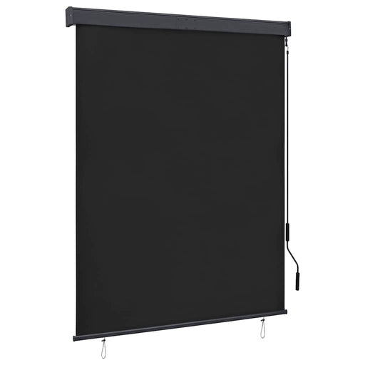 Jaluzea tip rulou de exterior, antracit, 140 x 250 cm - WALTI WALTI