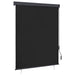 Jaluzea tip rulou de exterior, antracit, 140 x 250 cm - WALTI WALTI