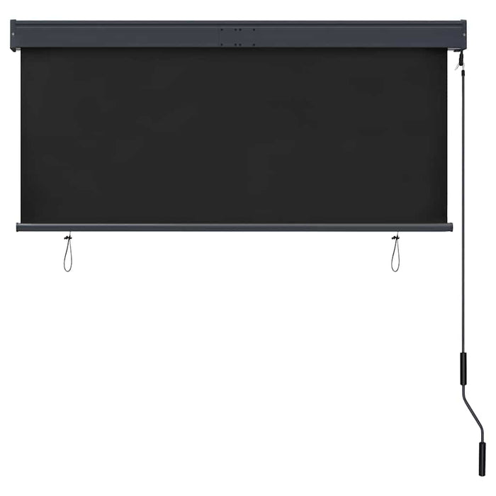 Jaluzea tip rulou de exterior, antracit, 140 x 250 cm - WALTI WALTI
