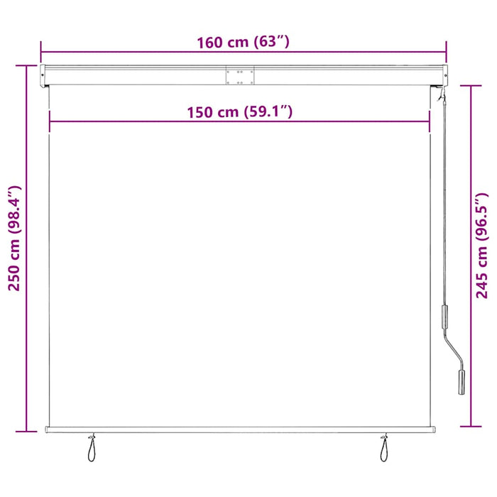 Jaluzea tip rulou de exterior, albastru și alb, 160 x 250 cm - WALTI WALTI