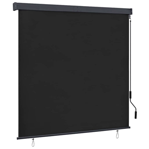 Jaluzea tip rulou de exterior, antracit, 160 x 250 cm - WALTI WALTI