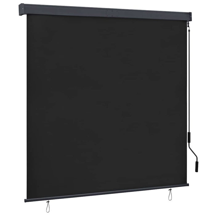 Jaluzea tip rulou de exterior, antracit, 160 x 250 cm - WALTI WALTI