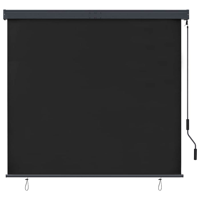 Jaluzea tip rulou de exterior, antracit, 160 x 250 cm - WALTI WALTI