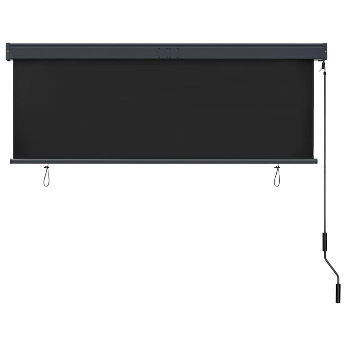 Jaluzea tip rulou de exterior, antracit, 160 x 250 cm - WALTI WALTI