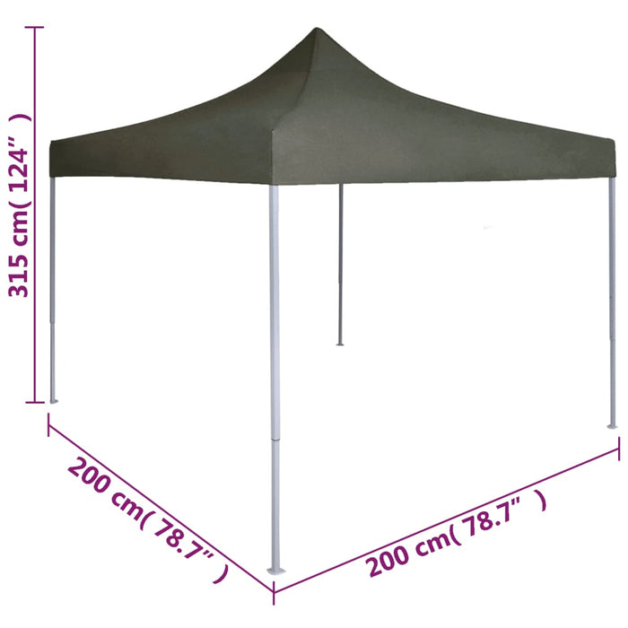 Cort de petrecere pliabil profesional, antracit, 2 x 2 m, oțel - WALTI WALTI