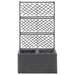 Strat înălțat spalier 2 ghivece negru 58x30x107 cm poliratan - WALTI WALTI