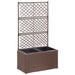 Strat înălțat spalier cu 2 ghivece maro 58x30x107 cm poliratan - WALTI WALTI