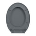 Capac WC cu închidere silențioasă, gri, oval - WALTI WALTI