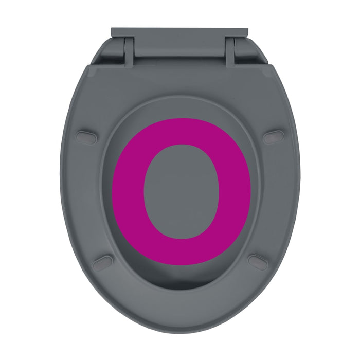 Capac WC cu închidere silențioasă, eliberare rapidă, gri, oval - WALTI WALTI