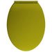 Capac WC cu închidere silențioasă, verde, oval - WALTI WALTI