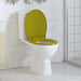 Capac WC cu închidere silențioasă, verde, oval - WALTI WALTI