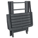 Set mobilier de bistro pliabil, 3 piese, antracit, plastic - WALTI WALTI