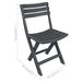 Set mobilier de bistro pliabil, 3 piese, antracit, plastic - WALTI WALTI