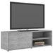 Comodă TV, gri beton, 120x34x37 cm, lemn prelucrat - WALTI WALTI