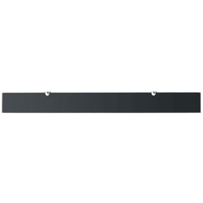 Rafturi suspendate, 2 buc., 100 x 10 cm, sticlă, 8 mm - WALTI WALTI