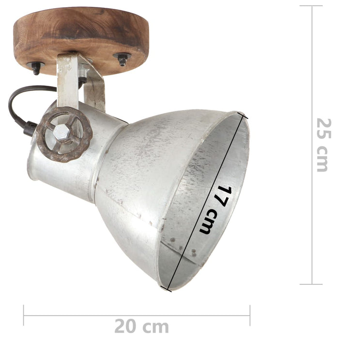 Lămpi de perete/tavan industriale argintiu 2 buc 20x25 cm E27 - WALTI WALTI