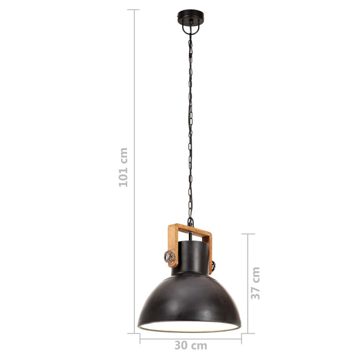 Lampă suspendată industrială, negru, 30 cm, 25 W, E27, rotund WALTI