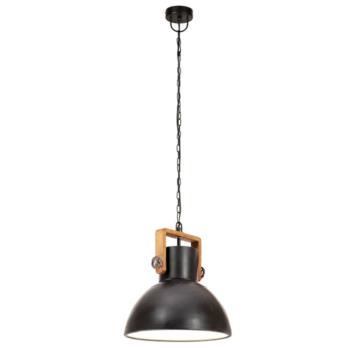 Lampă suspendată industrială, negru, 30 cm, 25 W, E27, rotund WALTI