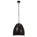 Lampă suspendată industrială, negru, 42 cm, rotund, 25 W, E27 - WALTI WALTI