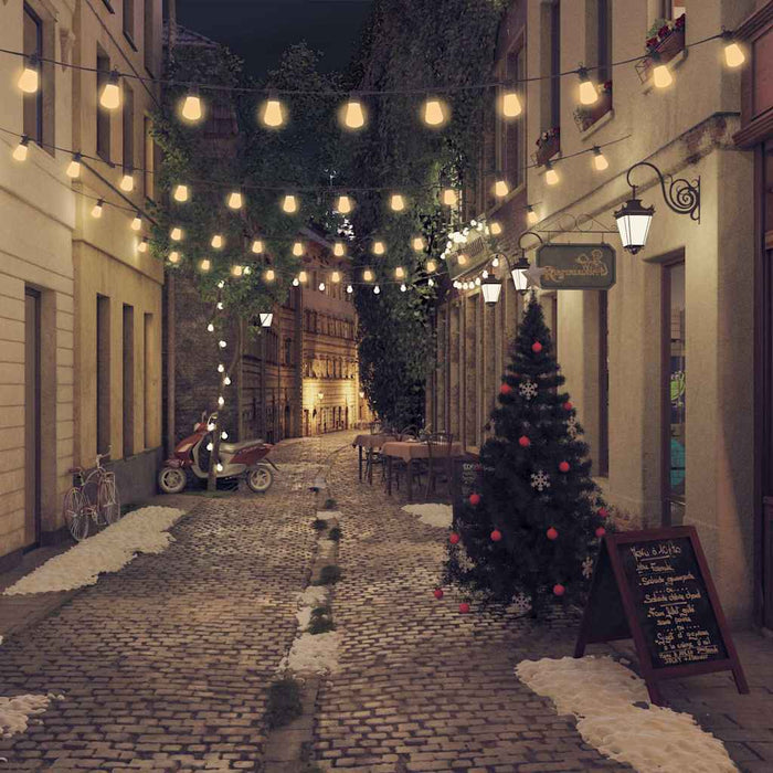 Ghirlandă lumini exterior 20 buc. 23 m oval decorațiune Crăciun WALTI