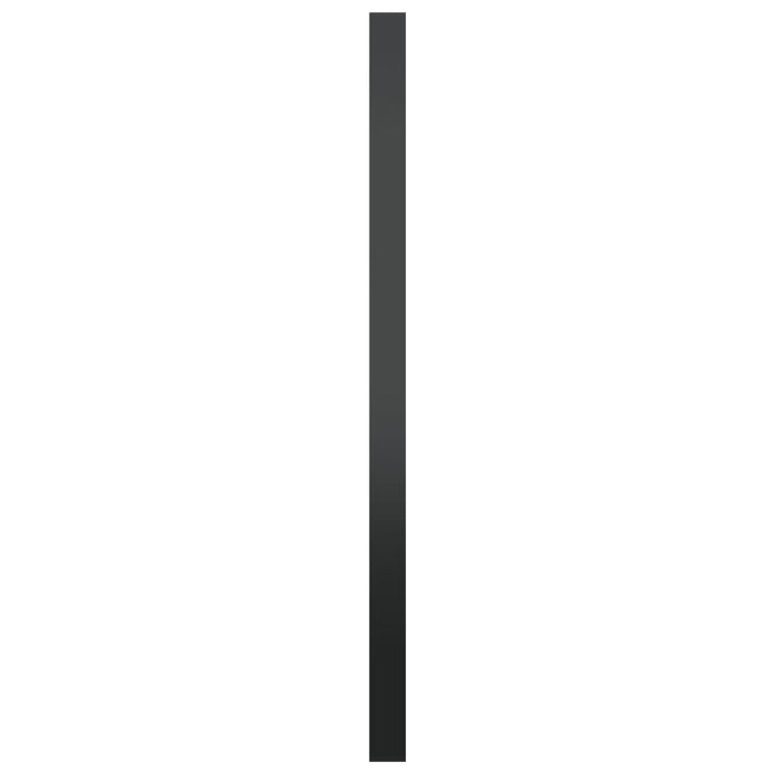 Oglindă de perete, negru, 60 cm WALTI