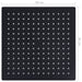 Cap de duș tip ploaie pătrat, negru, 30x30 cm, oțel inoxidabil - WALTI WALTI