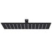 Cap duș dreptunghiular tip ploaie negru 30x20cm oțel inoxidabil - WALTI WALTI