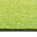 Covoraș de ușă lavabil, verde, 120 x 180 cm - WALTI WALTI