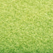 Covoraș de ușă lavabil, verde, 120 x 180 cm - WALTI WALTI