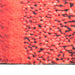 Covoraș de bucătărie, lavabil, model condimente, 45x150 cm - WALTI WALTI