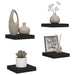 Rafturi de perete suspendate, 4 buc., negru, 23x23,5x3,8 cm MDF - WALTI WALTI