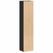 Dulapuri CD-uri, 2 buc., negru, 21 x 16 x 93,5 cm, PAL - WALTI WALTI