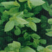 Panou de intimitate grădină, verde, 70 x 0,19 m, PVC - WALTI WALTI