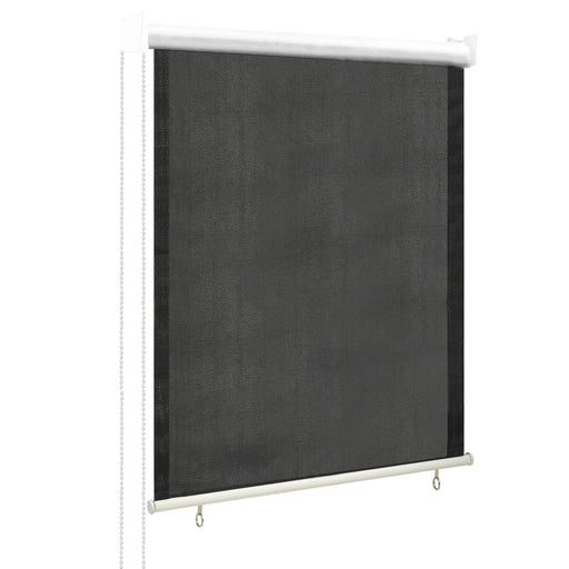 Jaluzea tip rulou de exterior 65 (l) x 140 (î) cm, antracit - WALTI WALTI