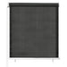 Jaluzea rulou de exterior, antracit, 60x140 cm - WALTI WALTI