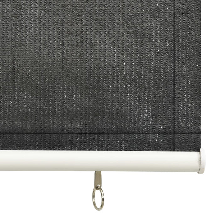 Jaluzea tip rulou de exterior, antracit, 80x140 cm WALTI