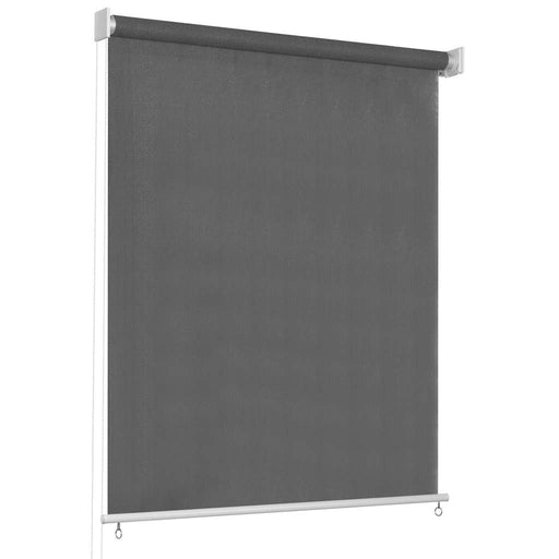 Jaluzea tip rulou de exterior 65 (l) x 230 (î) cm, antracit - WALTI WALTI