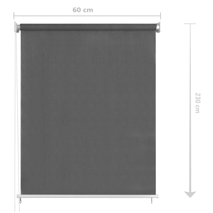 Jaluzea tip rulou de exterior, antracit, 60x230 cm WALTI