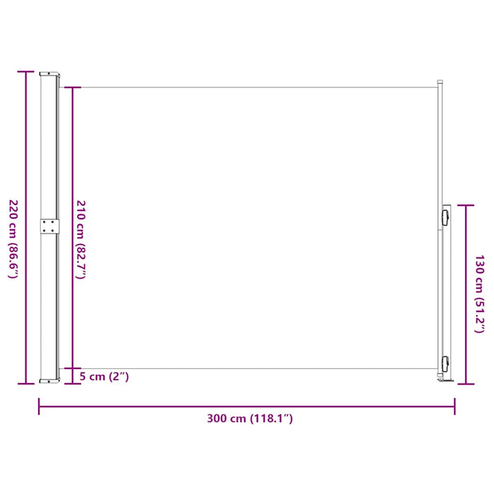 Copertină laterală retractabilă de terasă, negru, 220x300 cm - WALTI WALTI