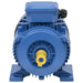Motor electric trifazic aluminiu 1,5kW / 2CP 2 poli 2840 RPM - WALTI WALTI
